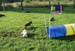 tag_der_offenen_tuer_2008006