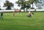 tag_der_offenen_tuer_2008024