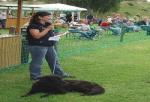 tag_der_offenen_tuer_2008033