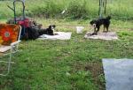tag_der_offenen_tuer_2008053