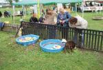 tag_der_offenen_tuer_2008067