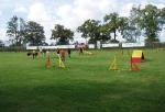 tag_der_offenen_tuer_2008080