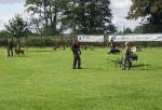 tag_der_offenen_tuer_2008094