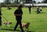 tag_der_offenen_tuer_2008095