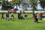 tag_der_offenen_tuer_2008098