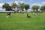 tag_der_offenen_tuer_2008099