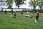 tag_der_offenen_tuer_2008102