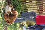 tag_der_offenen_tuer_2008105