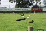 tag_der_offenen_tuer_2008114