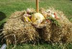 tag_der_offenen_tuer_2008116