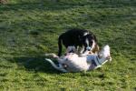 training_februar_200801