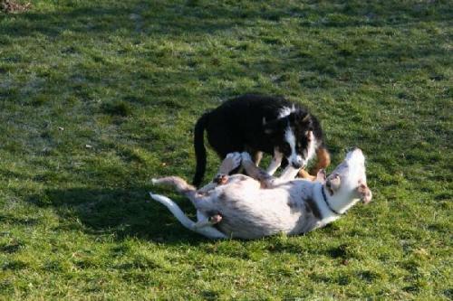 training_februar_200801