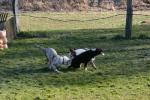 training_februar_200811
