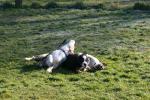 training_februar_200813