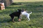 training_februar_200814