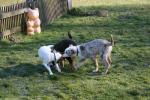 training_februar_200815