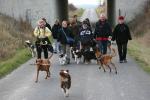 braunkohl_nov_200901
