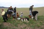braunkohl_nov_200904
