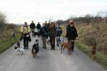 braunkohl_nov_200909