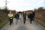 braunkohl_nov_200911