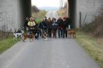 braunkohl_nov_200913