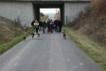 braunkohl_nov_200914