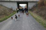 braunkohl_nov_200915