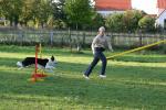 Agility Spaßturnier Juni.2006