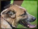 Bannerfoto