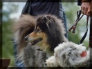 Bannerfoto