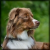 Bannerfoto