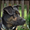 Bannerfoto